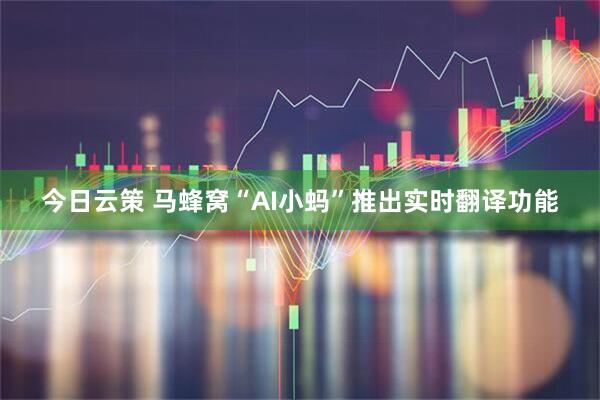 今日云策 马蜂窝“AI小蚂”推出实时翻译功能