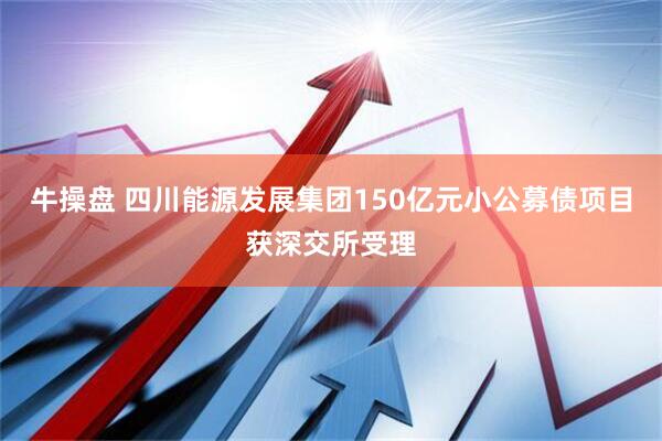 牛操盘 四川能源发展集团150亿元小公募债项目获深交所受理