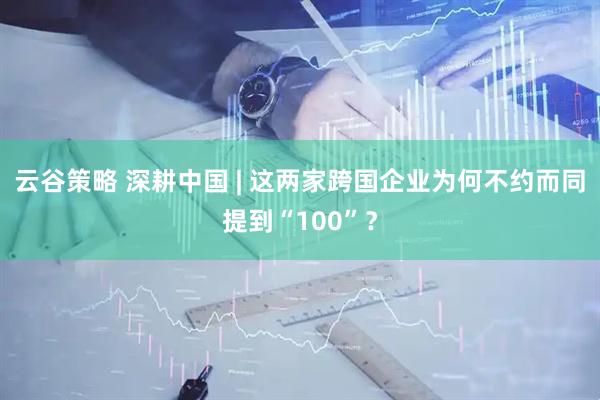 云谷策略 深耕中国 | 这两家跨国企业为何不约而同提到“100”？