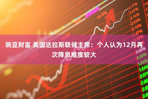 豌豆财富 美国达拉斯联储主席：个人认为12月再次降息难度较大